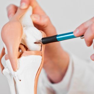 Ízületi regeneráció támogatása